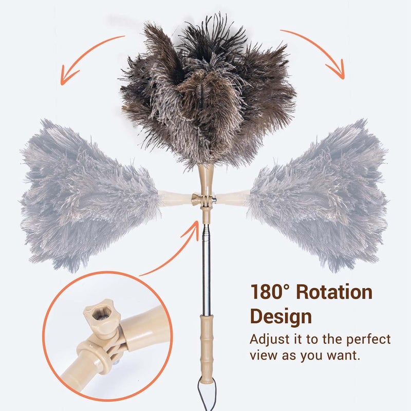Cede noo Extendable Ostrich Feather Duster, Natural Ostrich Feathers Long Handle Duster for Cleaning, 47” Soft & Fluffy Feather Duster for High Ceilings, Fans, Walls, Furniture, Home Dusting(A11-Ivory) - Image 5